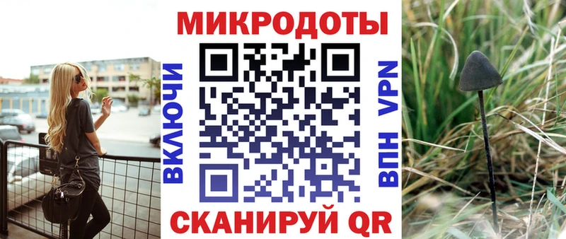 Псилоцибиновые грибы Psilocybine cubensis  Афипский 